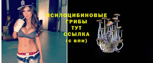 дурь Белокуриха