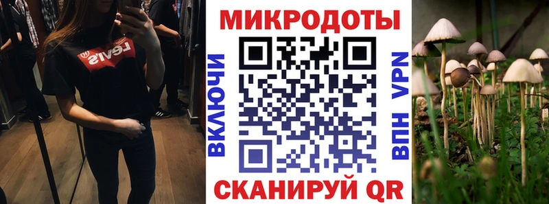 Псилоцибиновые грибы мухоморы  это клад  Ясногорск  цена наркотик 